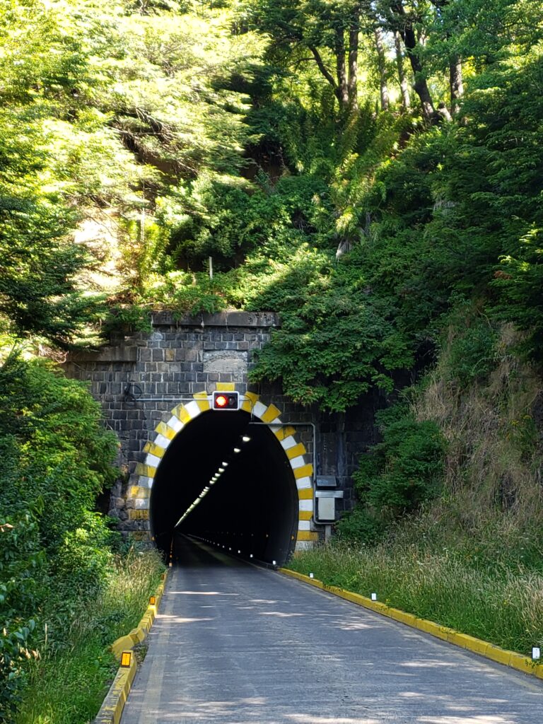 Camino a cabañas cerca de Pucón y Lonquimay.