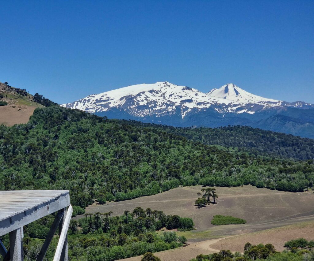 Cabañas cerca de Lonquimay