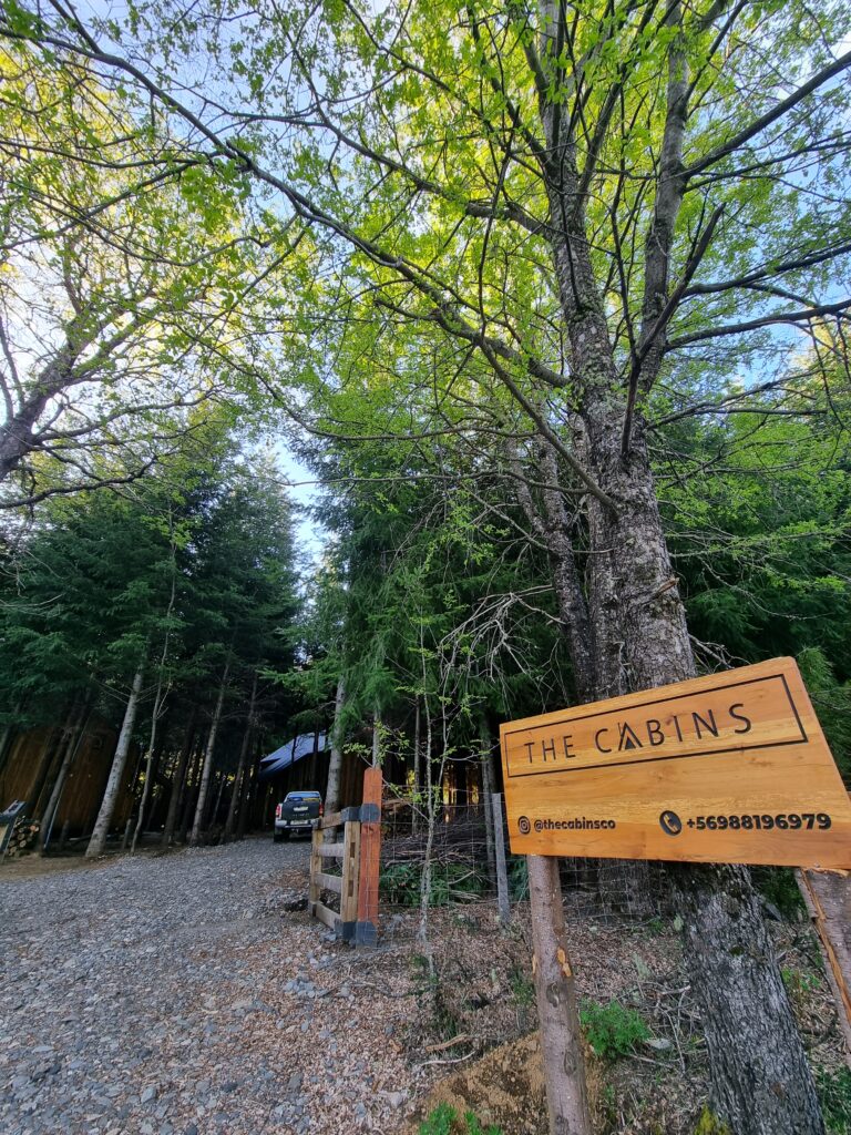 The Cabins en el bosque sur de Chile.