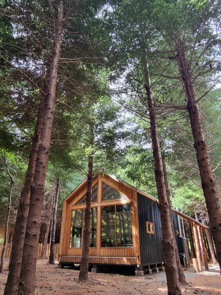 Cabañas en el bosque sur de Chile.